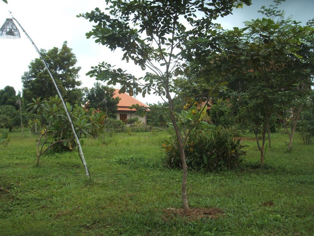 Green Plateau Lodge Banlung Eksteriør bilde